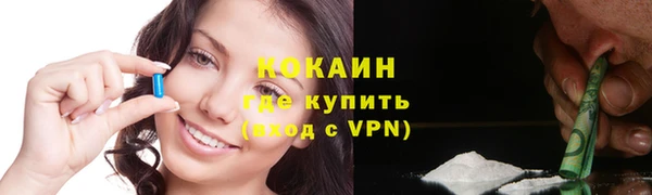 mix Богородицк