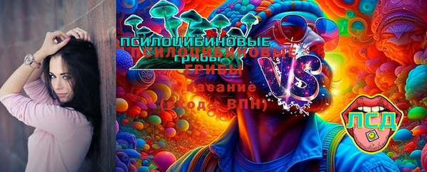 mix Богородицк