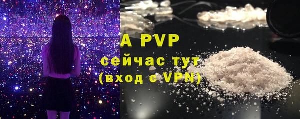 экстази Богданович