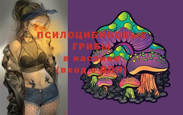 экстази Богданович