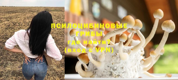 экстази Богданович
