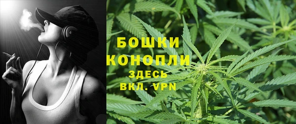 mix Богородицк