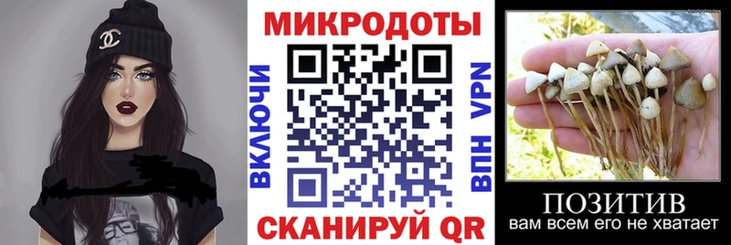 Псилоцибиновые грибы Magic Shrooms  Новый Уренгой 